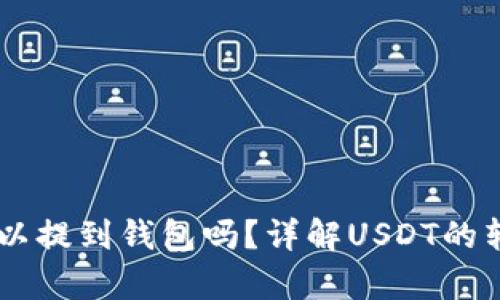USDT币可以提到钱包吗？详解USDT的转账与存储