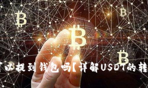 USDT币可以提到钱包吗？详解USDT的转账与存储