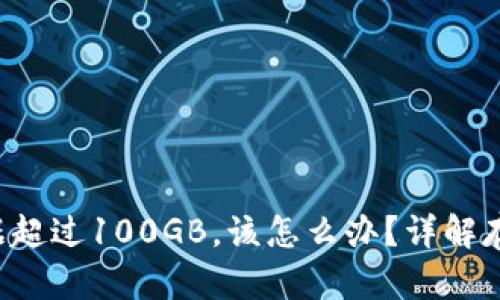 比特币钱包数据超过100GB，该怎么办？详解存储、管理与策略