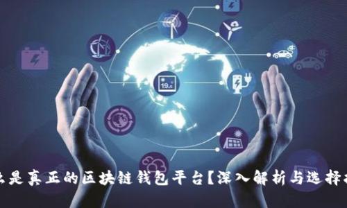 什么是真正的区块链钱包平台？深入解析与选择指南