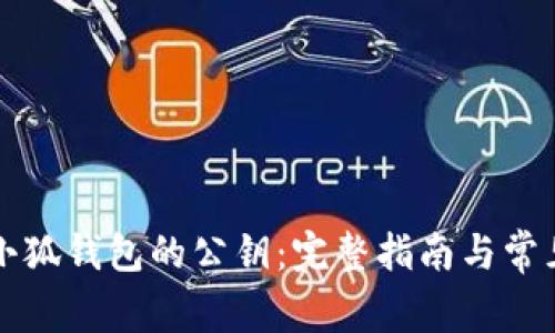 如何查看小狐钱包的公钥：完整指南与常见问题解析