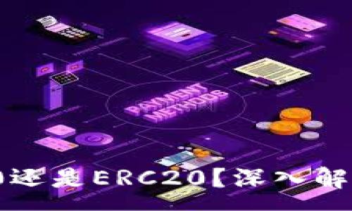 :  
TP钱包的USDT是TRC20还是ERC20？深入解析数字货币存储的选择