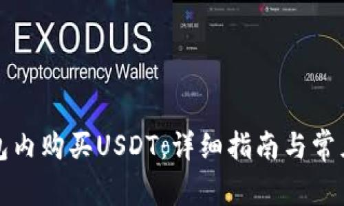 如何在钱包内购买USDT：详细指南与常见问题解答
