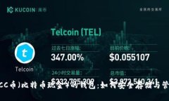 全面解析BCC币（比特币现