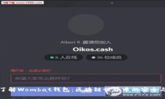 深入了解Wombat钱包：区块链世界中的安全与便利