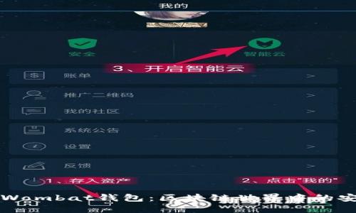 深入了解Wombat钱包：区块链世界中的安全与便利
