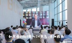 如何将USDT转入IM钱包：详细指南
