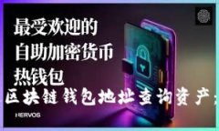 如何通过区块链钱包地址查询资产：完整指南