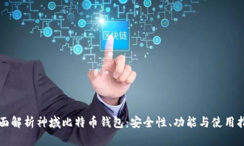 全面解析神域比特币钱包：安全性、功能与使用指南