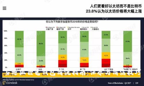 芬迪狐狸毛钱包清洗指南：保养与清洁技巧