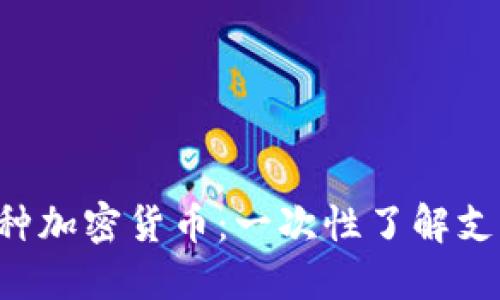 使用MetaMask管理多种加密货币：一次性了解支持的币种及其操作步骤