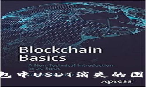 如何解决钱包中USDT消失的困扰：详尽指南