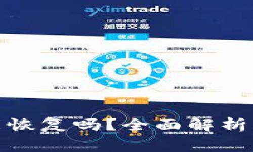 小狐钱包能恢复吗？全面解析与使用建议