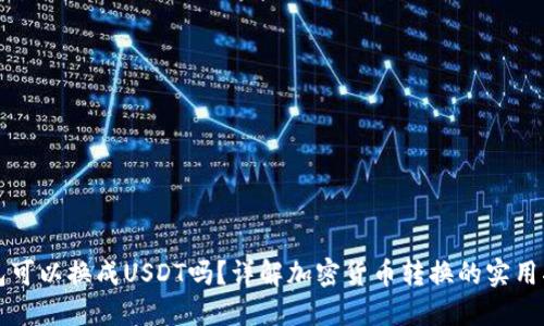 钱包可以换成USDT吗？详解加密货币转换的实用指南