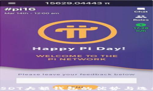 
探索USDT大额钱包的优势与选择指南