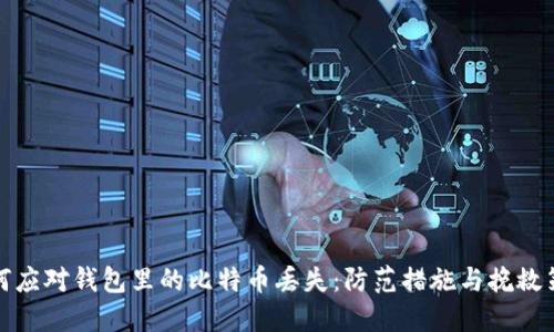 如何应对钱包里的比特币丢失：防范措施与挽救策略