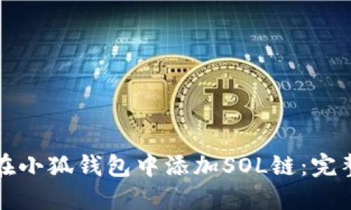 如何在小狐钱包中添加SOL链：完整指南