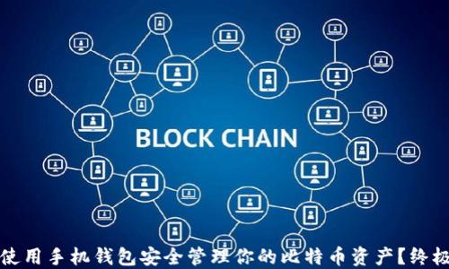 
如何使用手机钱包安全管理你的比特币资产？终极指南