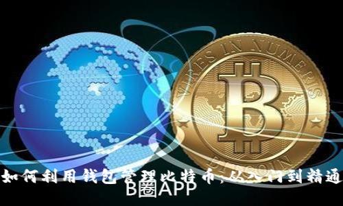 如何利用钱包管理比特币：从入门到精通