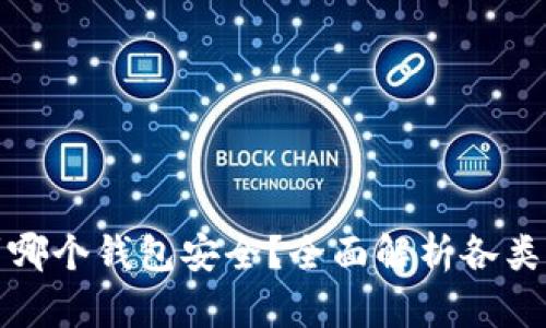 : 比特币存到哪个钱包安全？全面解析各类钱包的优缺点