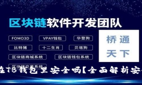 USDT存放在TB钱包里安全吗？全面解析安全性与风险