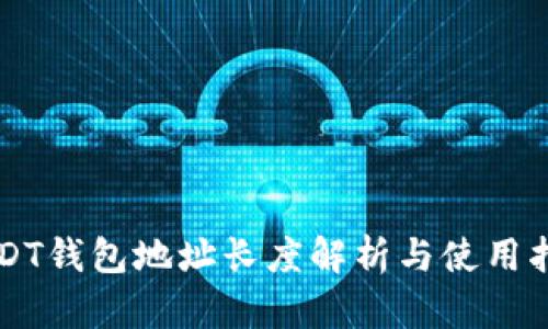 USDT钱包地址长度解析与使用指南