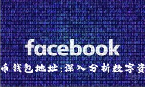 探索富豪比特币钱包地址：深入分析数字资产的隐秘世界