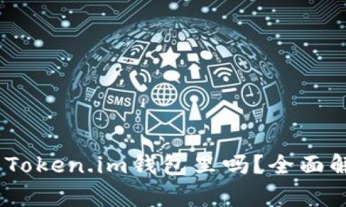 USDT可以放到Token.im钱包里吗？全面解析与使用指南