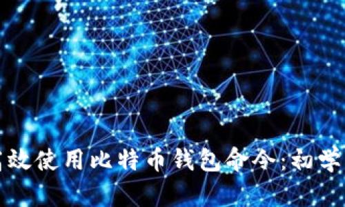 如何高效使用比特币钱包命令：初学者指南