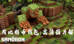 如何选择和使用比特币钱包：高清图片解析与详