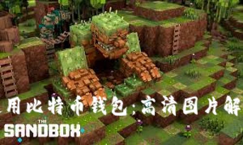 如何选择和使用比特币钱包：高清图片解析与详细指南