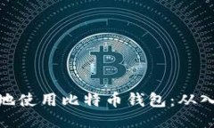 如何安全地使用比特币钱包：从入门到精通