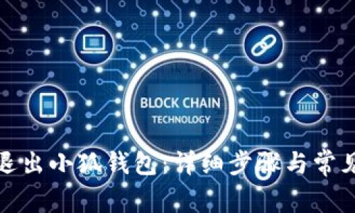 如何安全退出小狐钱包：详细步骤与常见问题解答